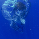 Image for article titled SNORT Is Where NASA Engineers Destroy Next-Generation Parachutes